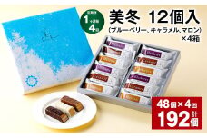 【1ヶ月毎4回定期便】美冬12個入（ブルーベリー、キャラメル、マロン）×4箱