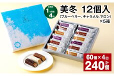  【1ヶ月毎4回定期便】美冬12個入（ブルーベリー、キャラメル、マロン）×5箱