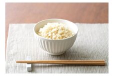 【9回定期便】 田園交響楽ゆめぴりかスペシャル 玄米 5kg