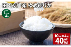 【1ヶ月毎4回定期便】田園交響楽ゆめぴりか 10kg 計40kg