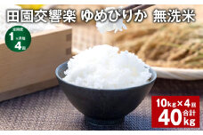 【1ヶ月毎4回定期便】田園交響楽ゆめぴりか 無洗米 10kg 計40kg