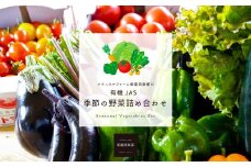 【有機JAS認定】【5ヶ月隔月定期便】 季節の野菜詰め合わせ ～有機野菜セットB～ 15種類～18種類 季節 野菜 野菜セット 有機野菜 有機 詰め合わせ セット