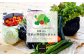 【有機JAS認定】【6ヶ月隔月定期便】 季節の野菜詰め合わせ ～有機野菜セットB