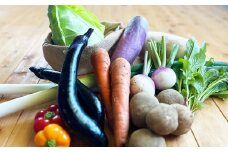 【有機JAS認定】【3ヶ月隔月定期便】季節の野菜詰め合わせ ～有機野菜セットC～ 7種類～8種類 季節 野菜 野菜セット 有機野菜 有機 詰め合わせ セット
