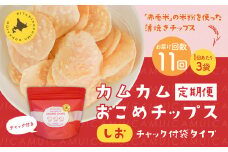 【1ヶ月毎11回定期便】 カムカムおこめチップス（しお） チャック付袋タイプ 計33個  （3個×11回） お菓子 菓子 スナック菓子
