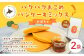 パクパクおこめパンケーキミックス（かぼちゃ）スタンドパック 計2個 ホットケーキミックス 