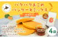 パクパクおこめパンケーキミックス（かぼちゃ）スタンドパック 計4個 ホットケーキミックス 
