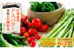 北海道産 アスパラと季節の有機野菜 セット