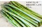 北海道産 アスパラと季節の有機野菜 セット