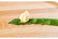 北海道産 アスパラと季節の有機野菜 セット