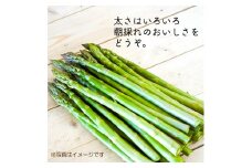 アスパラ 約2kg M～2L 【2025年4月下旬～6月下旬迄発送予定】