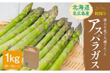 北海道北広島産 朝採り アスパラガス（1kg）【2025年4月下旬-5月上旬発送予定】 野菜 北海道 北広島市