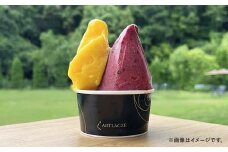 アルトラーチェ カップジェラート 6種セットA （小林牧場ミルク ・ モカ ・ かぼちゃ ・ ピスタチオ ・ ミルクハニー ・ ヘーゼルナッツ） 6個 ジェラート アイス アイスクリーム デザート スイーツ セット 詰め合わせ 詰合せ 北海道 北広島市 冷凍