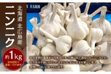 【2025年8月上旬～2026年1月下旬発送予定】 北海道 北広島産 ニンニク 約1kg 野菜 