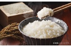 【令和6年産】寒地稲作発祥の地 北広島市産 赤毛米5kg 白米 精米 お米 こめ おこめ コメ 単一原料米 北海道米 北海道産 米 ご飯 ごはん 北海道 北広島市