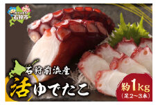石狩前浜産 活ゆでたこ（約1kg(足2～3本)）｜ふるさと納税 北海道 石狩市 ミズダコ ミズタコ たこ 蛸 茹で ボイル済み 加熱済み 水産加工品