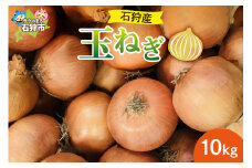 石狩産 玉ねぎ10kg｜ふるさと納税 石狩市 北海道 北海道産 玉葱 タマネギ 玉ネギ たまねぎ 野菜 新鮮 旬野菜
