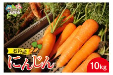 石狩産 人参 10kg｜ふるさと納税 石狩市 北海道 北海道産 にんじん ニンジン 野菜 根菜 新鮮 旬野菜 秋野菜