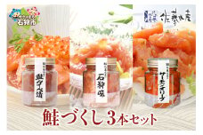 佐藤水産 鮭づくし３本セット（鮭ルイベ漬・石狩味・サーモンオリーブ）｜ふるさと納税 石狩市 北海道 さとう水産 鮭ルイベ漬け 3点セット セット 詰め合わせ