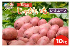 石狩産 じゃがいも(レッドムーン) 10kg