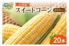 石狩産スイートコーン（色：イエロー）20本【8月～9月発送】