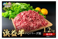 浜益牛（黒毛和牛）ハンバーグ