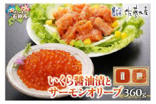 佐藤水産 いくら醤油漬とサーモンオリーブ｜ふるさと納税 石狩市 北海道 イクラ醤油漬け イクラ醤油漬 魚卵 鮭ルイベ