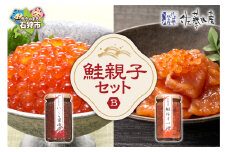 佐藤水産 鮭親子セットB（鮭ルイベ漬・いくら醤油 ）