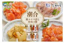 佐藤水産 潮合４本(鮭ルイベ漬と珍味3種)(KA-536)｜ふるさと納税 石狩市 さとう水産 北海道 北海道物産展 鮭ルイベ漬け るいべ るいべ漬け サケ さけ 鮭 人気 美味しい グルメ