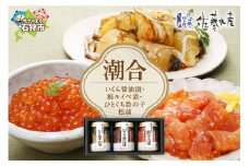佐藤水産 潮合(A)(No.10755)｜ふるさと納税 石狩市 北海道 さとう水産 鮭ルイベ漬け 3点セット セット 詰め合わせ