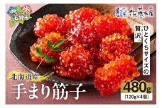 佐藤水産 手まり筋子 480g(120g×4)｜ふるさと納税 石狩市 北海道 さとう水産 すじこ 筋子 カット済み 一口サイズ 手巻き寿司 お寿司 軍艦巻き 食べやすい ミニサイズ