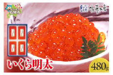 佐藤水産 いくら明太 480g（120g×4）｜ふるさと納税 石狩市 北海道 さとう水産 めんたいこ イクラ イクラ明太子