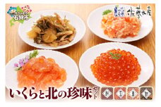 佐藤水産 いくらと北の珍味セット（M-3）｜ふるさと納税 石狩市 北海道 さとう水産 鮭ルイベ漬 松前漬け いくら醤油漬け 鮭麹漬け