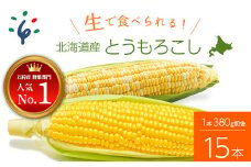 10-086 【予約受付中】2023年8月中旬以降配送予定 北海道産スイートコーン (イエローもしくはバイカラー) とうもろこし（15本）