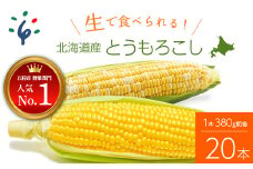 14-022 【予約受付中】2023年8月中旬以降配送予定 北海道産スイートコーン (イエローもしくはバイカラー) とうもろこし（20本）