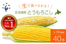 27-008 【予約受付中】2023年8月中旬以降配送予定 北海道産スイートコーン (イエローもしくはバイカラー) とうもろこし（40本）