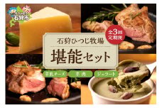 【定期便】【年3回】石狩ひつじ牧場「ピスタチオと羊乳フロマージュブランのジェラート・羊肉・羊乳チーズ」セット｜ふるさと納税 石狩市 北海道 羊乳 乳製品 スイーツ ラム肉 チーズ バラエティセット 詰め合わせ