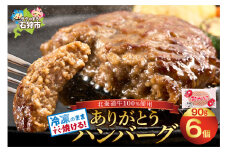 【6枚入り】北海道産牛肉100％の本格的ハンバーグ 凍ったまま調理 【 ビーフハンバーグ】ありがとうハンバーグ(プレーン)｜ふるさと納税 石狩市 北海道 牛肉100％ 国産牛100% 人気 お肉 お中元 プレゼント お弁当 冷凍庫で場所とらない 小分け 個包装  ホクビー 穴の開いたハンバーグ