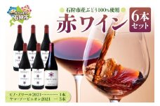 石狩市産ぶどうで作った赤ワイン６本セット / ワイン 赤ワイン 白ワイン