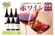石狩市産ぶどうで作った赤ワイン６本セット / ワイン 赤ワイン