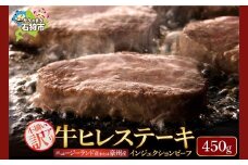 訳あり 牛ヒレステーキ（450g）（※約5～12枚前後・入数の指定不可）サイズ不揃い【牛脂注入加工肉】| ふるさと納税 北海道 石狩市 お肉 牛肉 ビーフ 牛ひれ ステーキ肉 柔らかい 赤身肉 加工肉 カット済み スライスカット ステーキカット 食べやすい 小分け 小分け冷凍