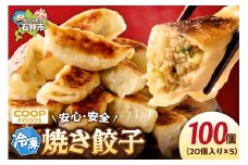 ジューシー焼き餃子100個