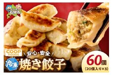 ジューシー焼き餃子60個
