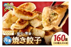 ジューシー焼き餃子160個