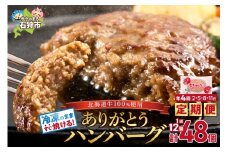【定期便4回】北海道産ありがとうハンバーグ90g × 12個 定期便 ふるさと納税 石狩市 北海道 牛肉100％ 国産牛100% 人気  お肉 お中元 プレゼント お弁当 冷凍庫で場所とらない 小分け 個包装 ホクビー 穴の開いたハンバーグ