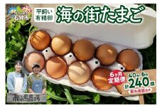 【定期便】飛ぶ鳥農場　海の街たまご　40個×6か月