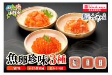 魚卵珍味3種詰合せ(石狩味､鮭ルイベ漬､いくら醤油漬 各160g) 20-046｜ふるさと納税 石狩市 さとう水産 北海道 北海道物産展 鮭ルイベ漬け るいべ るいべ漬け サケ さけ 鮭 イクラ醤油漬け イクラ 人気 美味しい グルメ