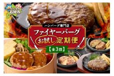 【定期便3回】ファイヤーバーグお試し定期便