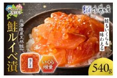 佐藤水産 いくら増量鮭ルイベ漬（540g）