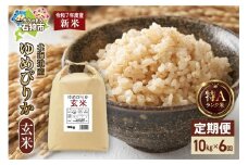 【先行予約】【定期便】北海道産 ゆめぴりか 玄米 10kg 6回